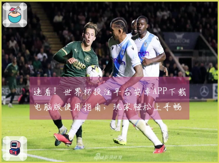 速看!世界杯投注平台安卓APP下载电脑版使用指南,玩家轻松上手畅玩