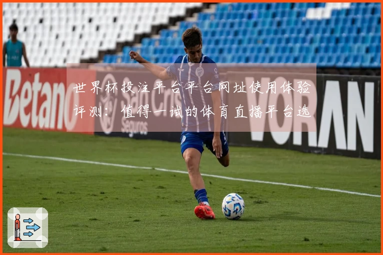 世界杯投注平台平台网址使用体验评测：值得一试的体育直播平台选择