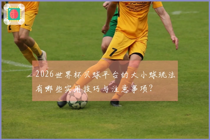 2026世界杯买球平台的大小球玩法有哪些实用技巧与注意事项？
