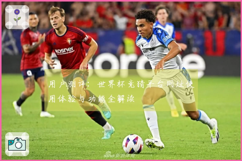 用户测评：世界杯竞猜平台网址使用体验与功能全解读