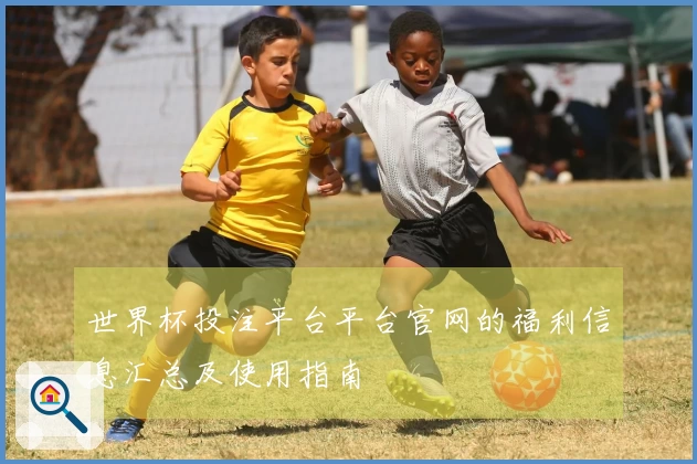 世界杯投注平台平台官网的福利信息汇总及使用指南