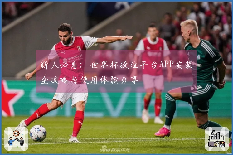 新人必看：世界杯投注平台APP安装全攻略与使用体验分享