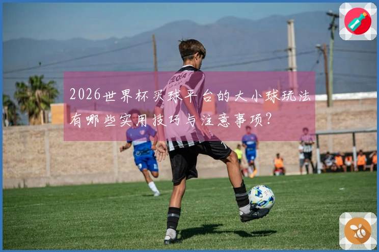 2026世界杯买球平台的大小球玩法有哪些实用技巧与注意事项？