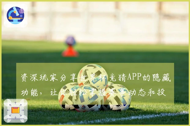资深玩家分享世界杯竞猜APP的隐藏功能，让你轻松掌握赛事动态和投注技巧