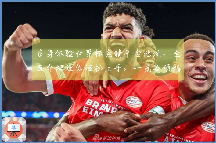 亲身体验世界杯竞猜平台地址，全面介绍让你轻松上手，一览各项精彩功能