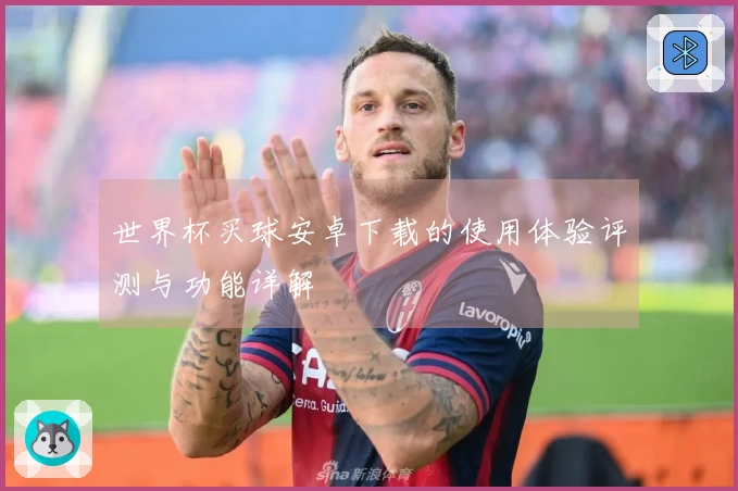 世界杯买球安卓下载的使用体验评测与功能详解