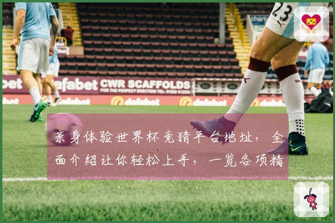 亲身体验世界杯竞猜平台地址，全面介绍让你轻松上手，一览各项精彩功能