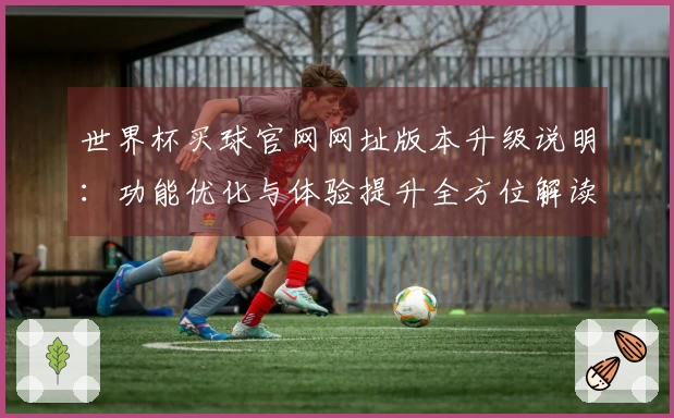 世界杯买球官网网址版本升级说明：功能优化与体验提升全方位解读