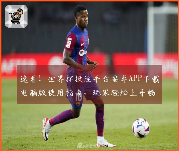 速看！世界杯投注平台安卓APP下载电脑版使用指南，玩家轻松上手畅玩