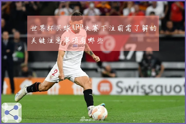 世界杯买球APP决赛下注前需了解的关键注意事项有哪些
