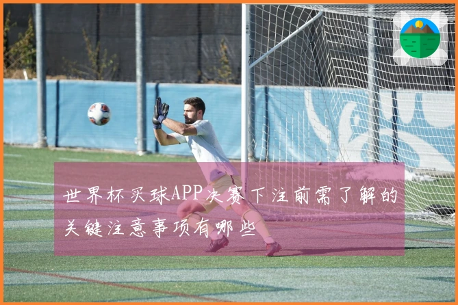 世界杯买球APP决赛下注前需了解的关键注意事项有哪些