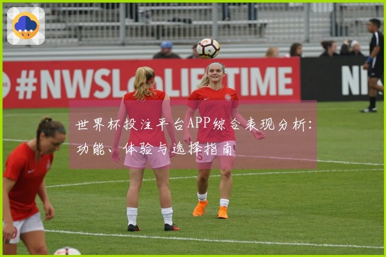 世界杯投注平台APP综合表现分析：功能、体验与选择指南