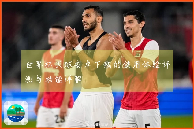 世界杯买球安卓下载的使用体验评测与功能详解