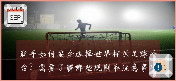 新手如何安全选择世界杯买足球平台？需要了解哪些规则和注意事项？